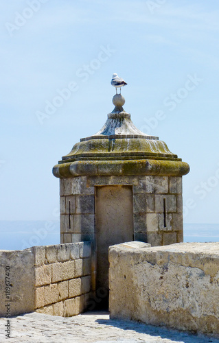 seagull on top of a tower in alicante, spain
