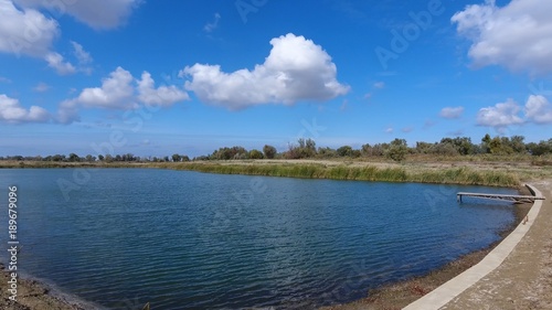 An artificial lake for fishing. A bridge for fishermen on the lake. Lake fishing © eleonimages