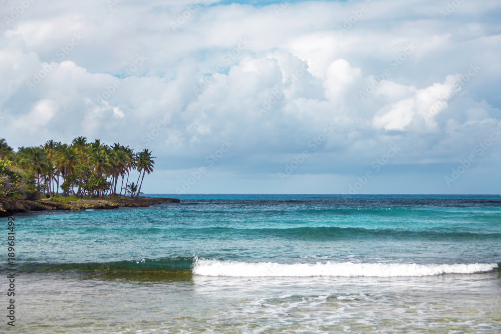 seascape in the Dominican Republic. Sea, shore with palm trees and sky with storm clouds