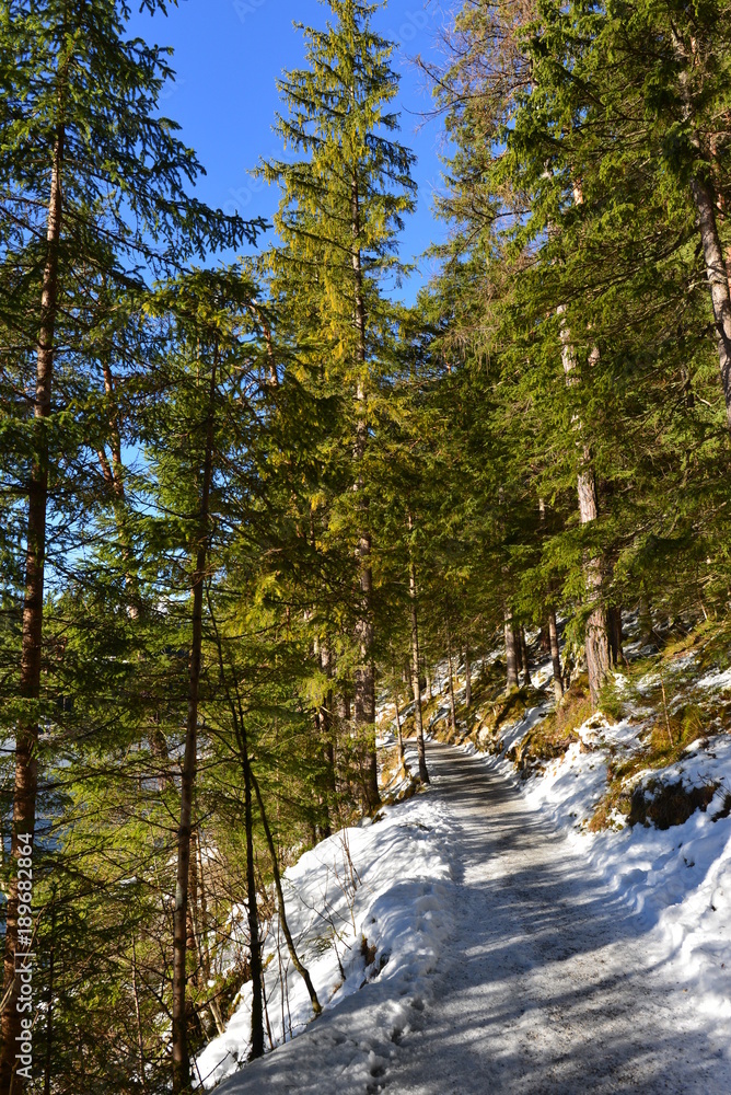 Wanderweg am Eibsee-Ufer
Wettersteingebirge in Bayern Wanderweg am Eibsee-Ufer
Wettersteingebirge in Bayern