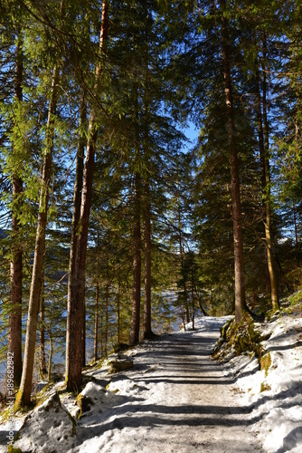 Wanderweg am Eibsee-Ufer 
Wettersteingebirge in Bayern  photo