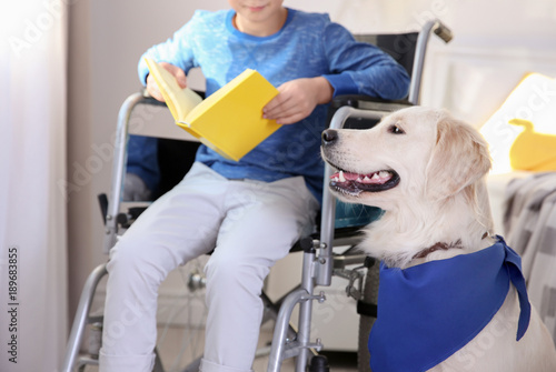 Boy in wheelchair reading b...