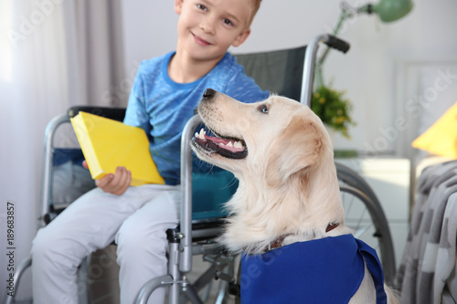 Boy in wheelchair reading b...