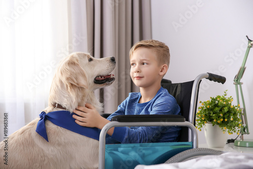 Boy in wheelchair with serv...
