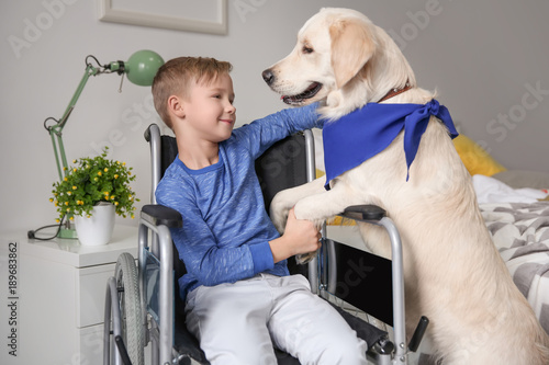 Boy in wheelchair with serv...