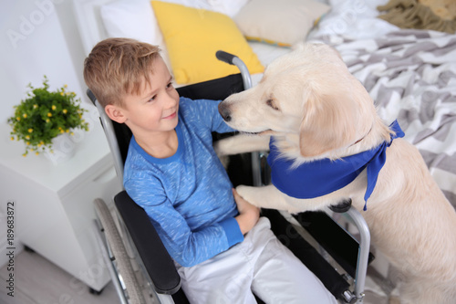 Boy in wheelchair with serv...