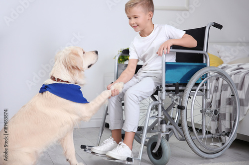 Boy in wheelchair with serv...