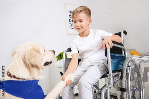 Boy in wheelchair with serv...