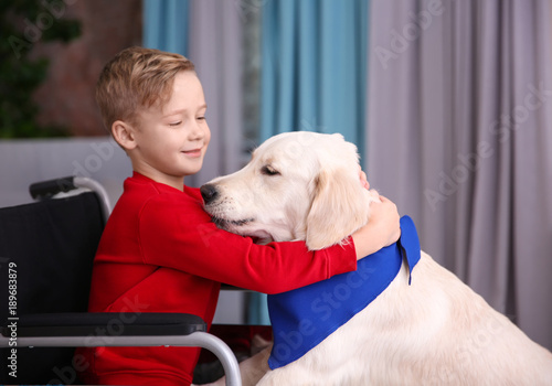 Boy in wheelchair with serv...