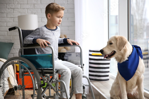 Boy in wheelchair with serv...
