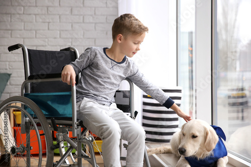 Boy in wheelchair with serv...