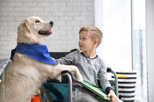 Boy in wheelchair with serv...