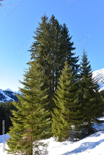 Berwang, höchster Ort der Tiroler Zugspitz Arena in den Lechtaler Alpen