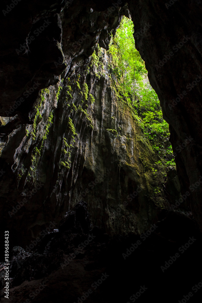 Cave opening to lush forest Gunung Mulu national park Borneo Malaysia