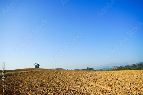 Prepared land with blue sky background