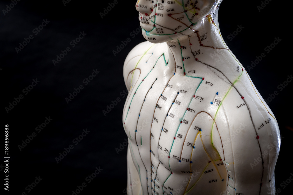 Alternative medicine and east asian healing methods concept with acupuncture dummy model with copy space. Acupuncture is the practice of inserting needles in the subcutaneous tissue, skin and muscles