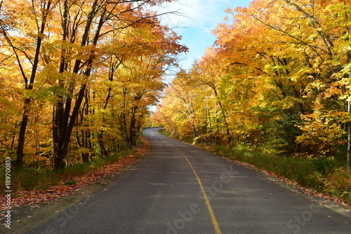 A beautiful road in autumn