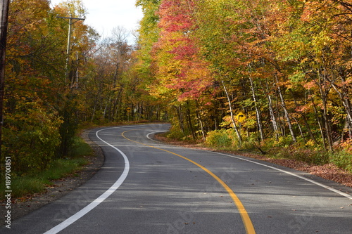a beautiful road in autumn