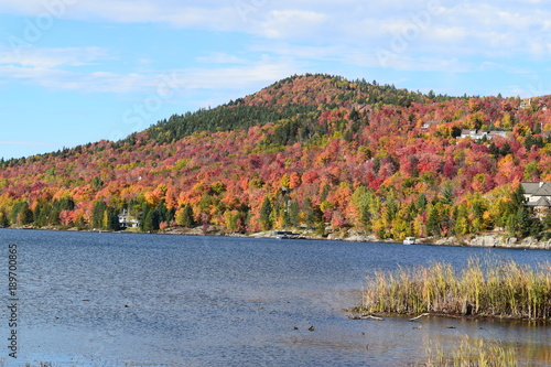 A lake in autumn