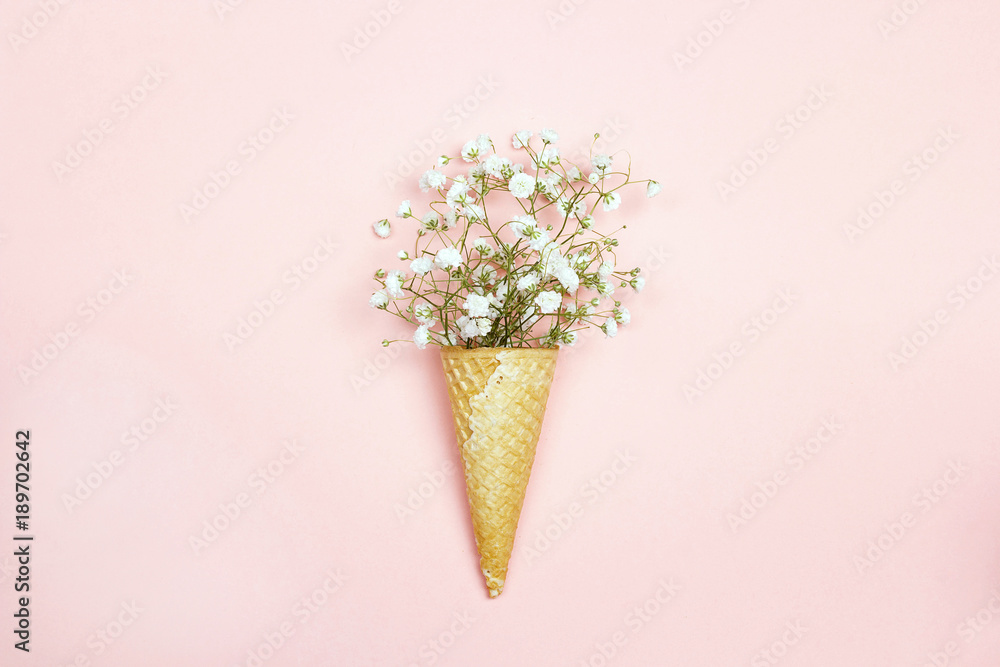 Waffle cone with gypsophila flowers on pink background.