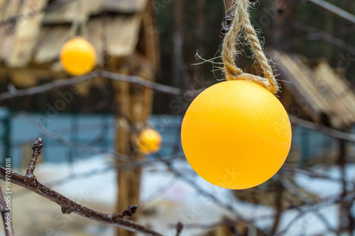 yellow plastic ball hanging on the tree in the forest as a decoration