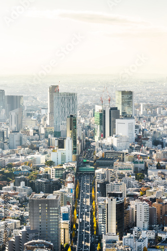 Asia Business concept for real estate and corporate construction - panoramic modern city skyline bird eye aerial view of Shinjuku   Shibuya under blue sky in Roppongi Hill  Tokyo  Japan