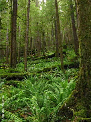 Big Foot's staircase.