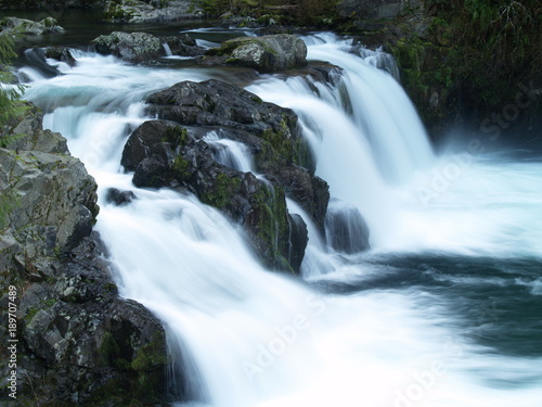 Do you see the Salmon?