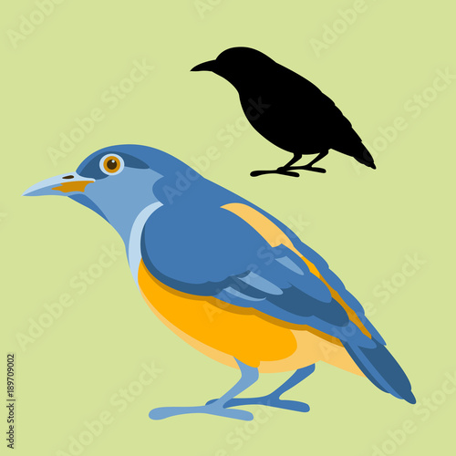 Flowerpecker  bird vector illustration flat style black silhouette profile