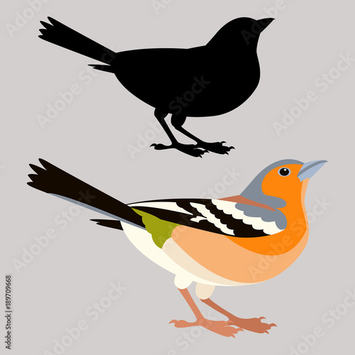 finch bird vector illustration flat style black silhouette profile