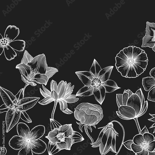 Floral card design.
