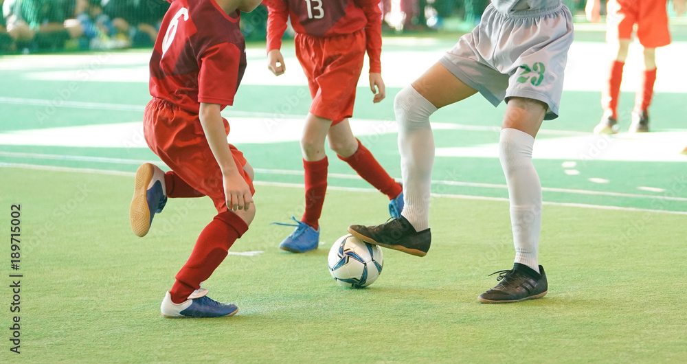 Naklejka premium フットサル