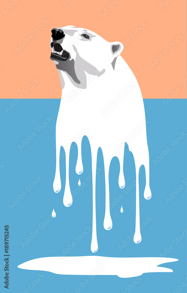 Fototapeta premium Melting polar bear - global warming may be a disaster for polar bears