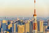 Asia Business concept for real estate and corporate construction - panoramic modern city skyline bird eye aerial view of tokyo tower and odaiba under golden sun in Roppongi Hill, Tokyo, Japan