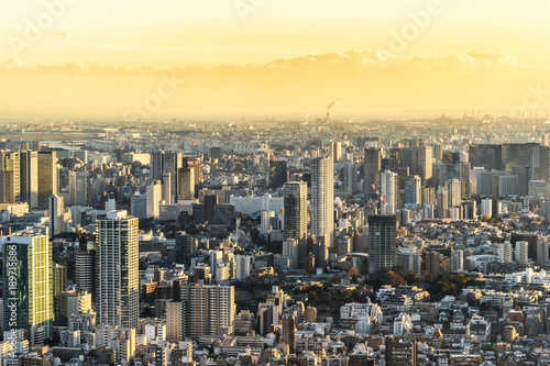 Asia Business concept for real estate and corporate construction - panoramic modern city skyline bird eye aerial view under golden sun in Roppongi Hill  Tokyo  Japan