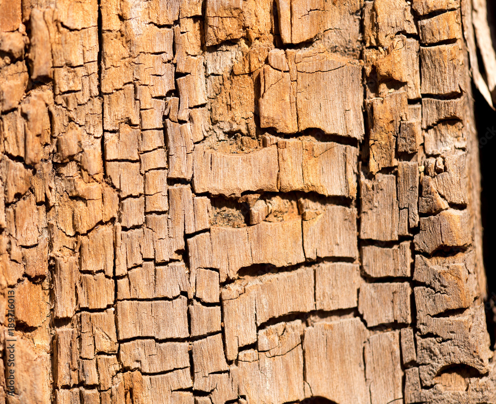 Old wood on nature as an abstract background Old wood on nature as an abstract background