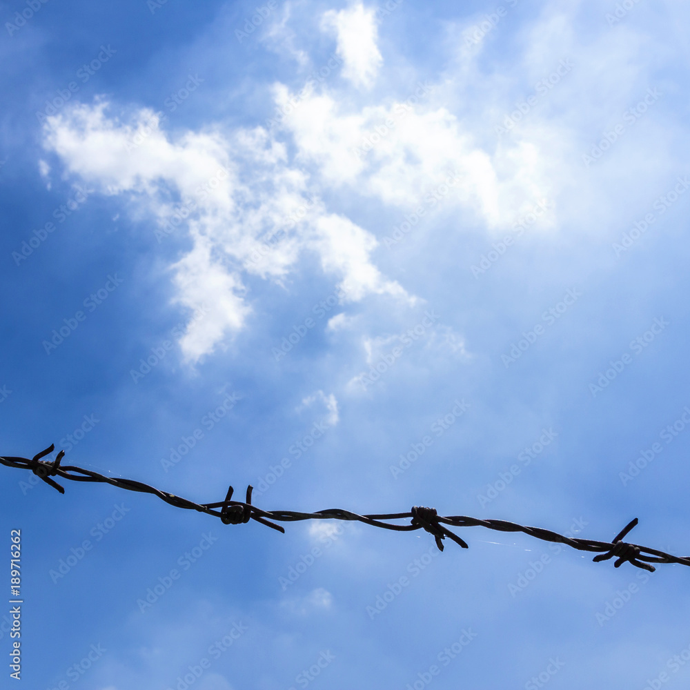Barbed wire against the blue sky Barbed wire against the blue sky