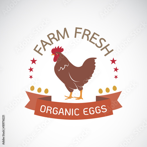 Vector of label with the chicken on a white background. Farm fresh. Logo Animal. Organic eggs. Easy editable layered vector illustration.