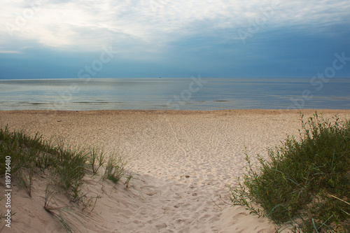 Green grass on Baltic sea beach.