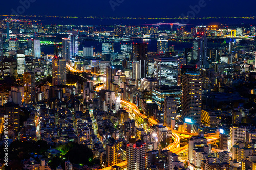 Asia Business concept for real estate & corporate construction - panoramic modern city skyline of Tokyo Tower and Tokyo Metropolitan Expressway junction with neon night in Roppongi Hill, Tokyo, Japan © voyata