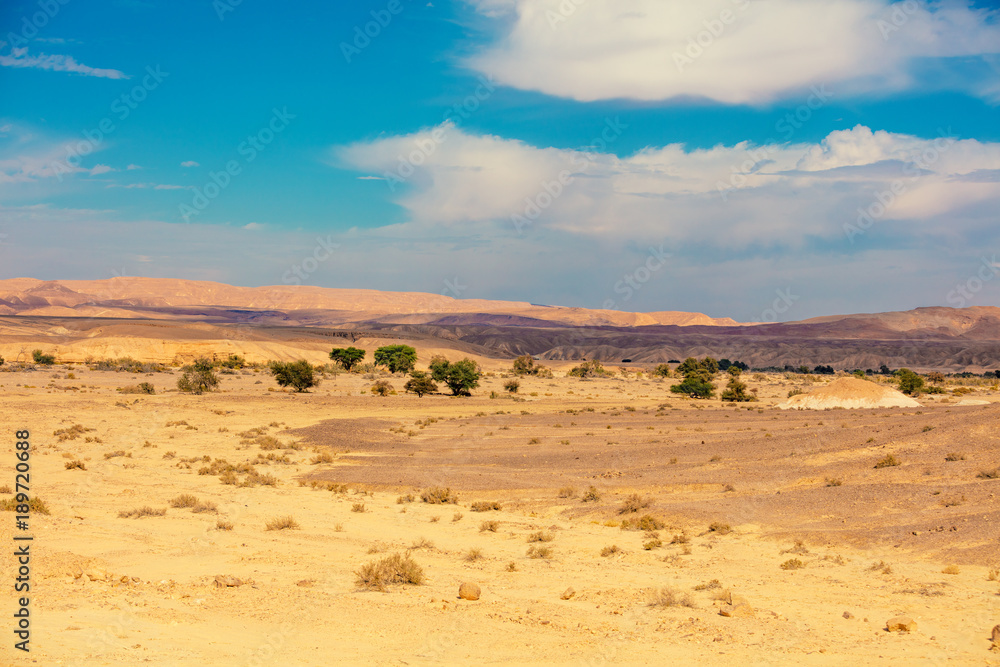 desert landscape with blue sky