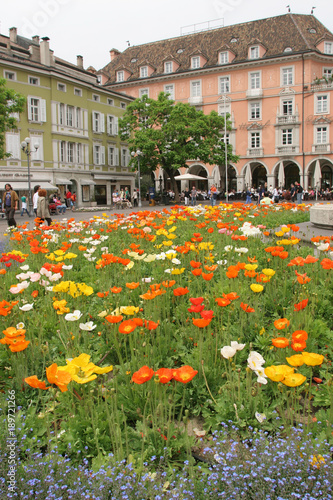 Bolzano, piazza Walther fiorita