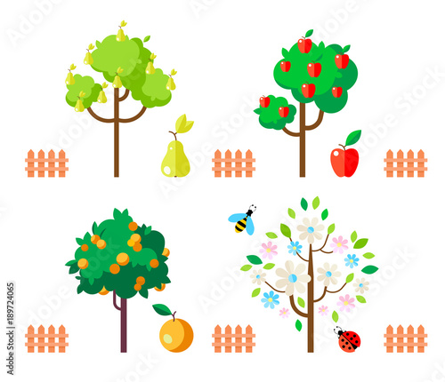Fruit trees apple, pear, orange, flowering tree.