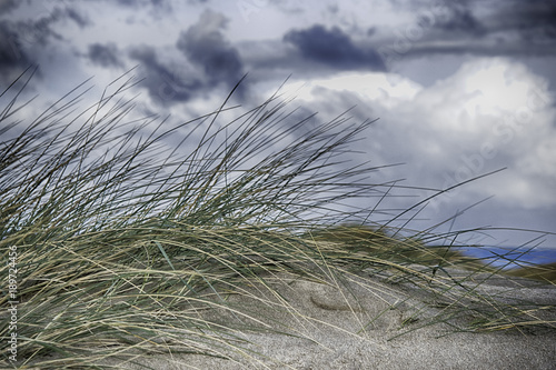 Dunes and grass