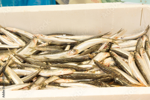 Foto Fresh sardines at a fishmonger
