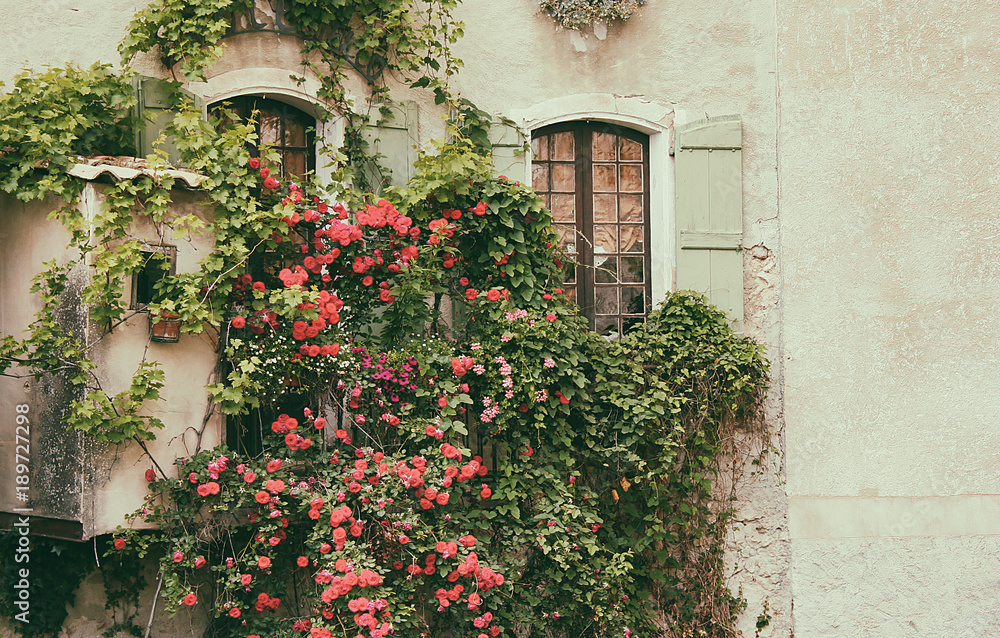Lovely french town glimpse with windows and rose garden