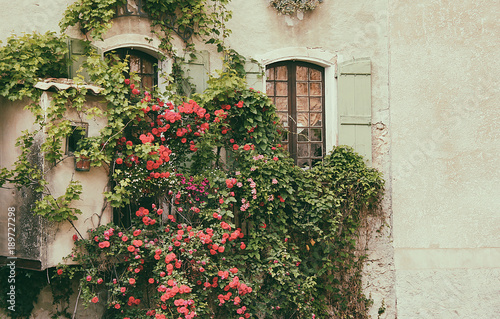Lovely french town glimpse with windows and rose garden