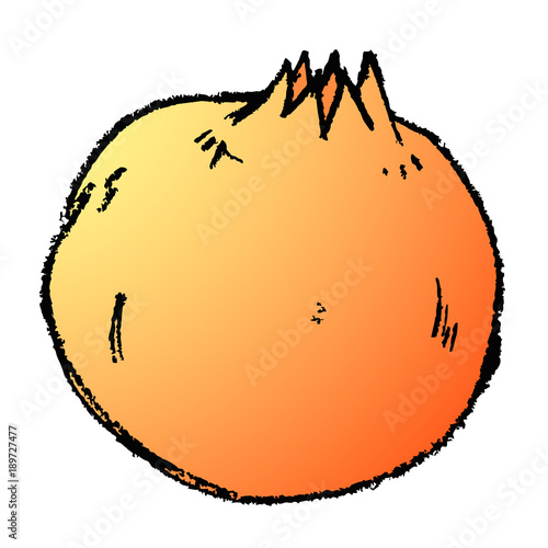 pomegranate illustration