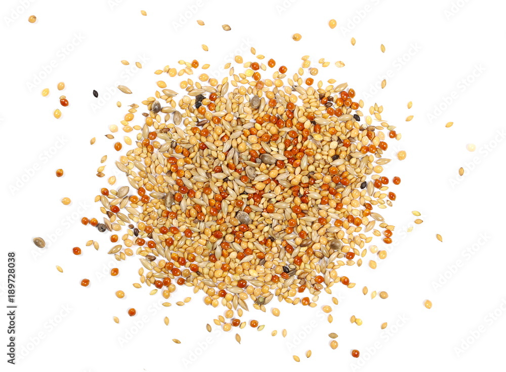 Mixed seeds, millet pile for exotic birds, finch with hemp isolated on white background, top view Mixed seeds, millet pile for exotic birds, finch with hemp isolated on white background, top view