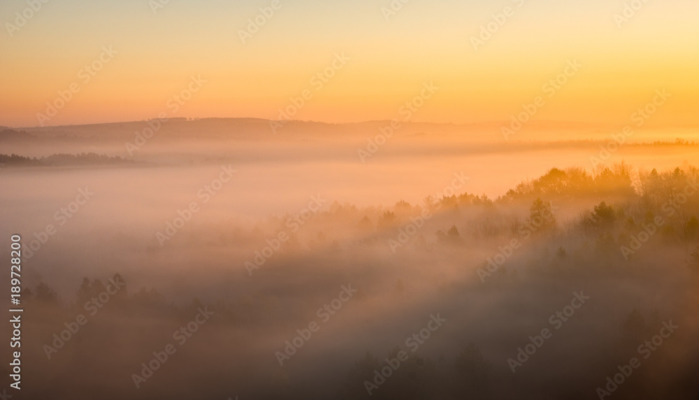 Foggy morning on the Jura Krakowsko-Czestochowska, Bobolice, Poland